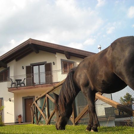 Aurora Dell'Etna Bed & Breakfast ซัฟเฟรานา เอตเนอา ภายนอก รูปภาพ