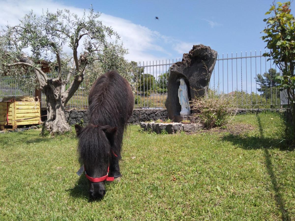 Aurora Dell'Etna Bed & Breakfast ซัฟเฟรานา เอตเนอา ภายนอก รูปภาพ