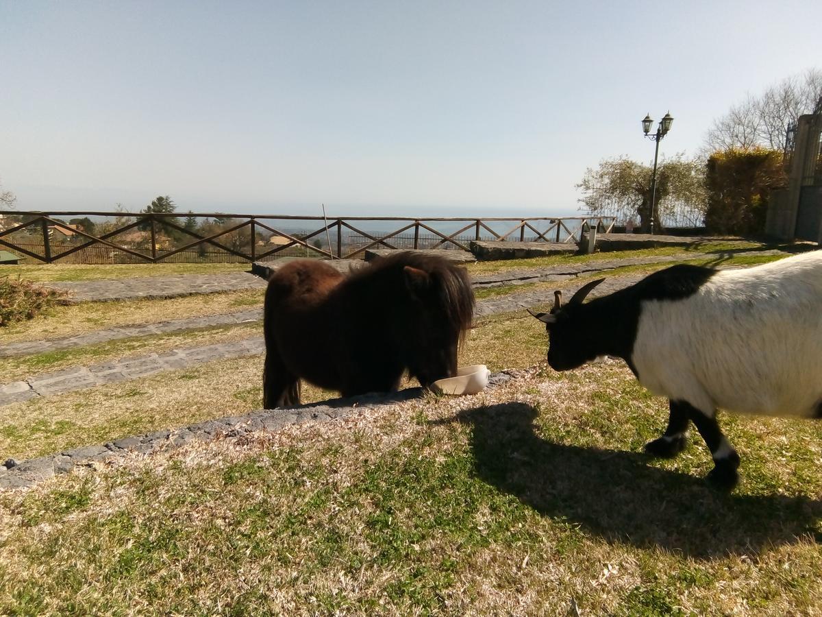 Aurora Dell'Etna Bed & Breakfast ซัฟเฟรานา เอตเนอา ภายนอก รูปภาพ